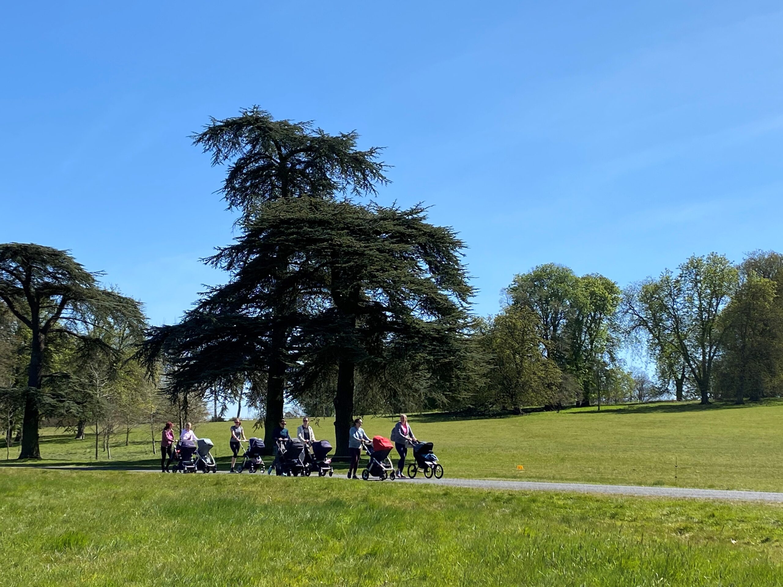 The power of getting outdoors